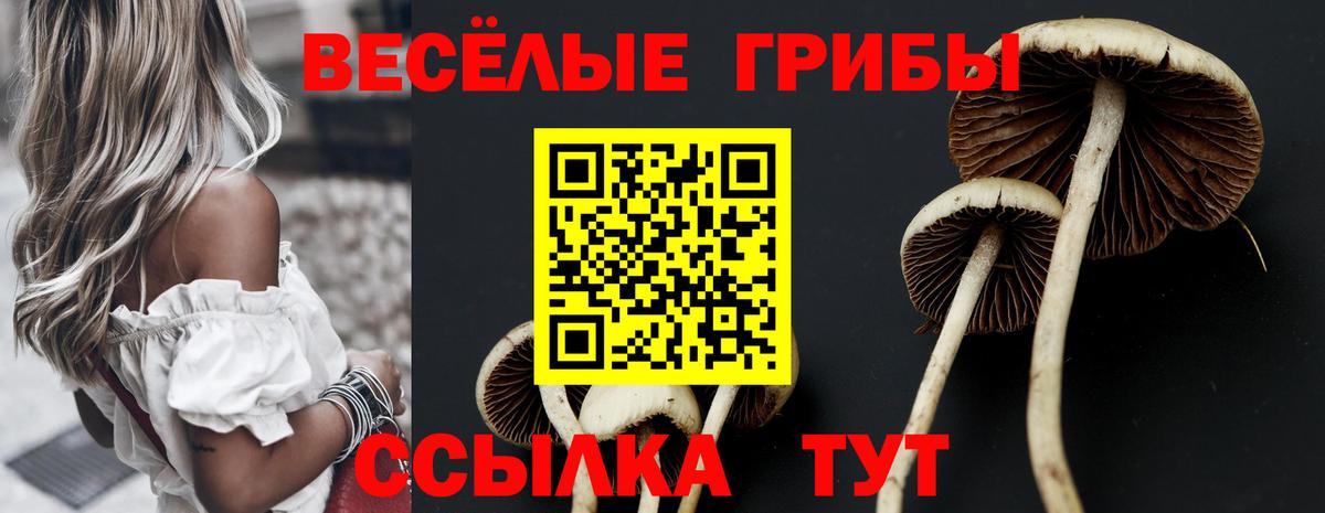Псилоцибиновые грибы Psilocybe  Вход с VPN  Аша 